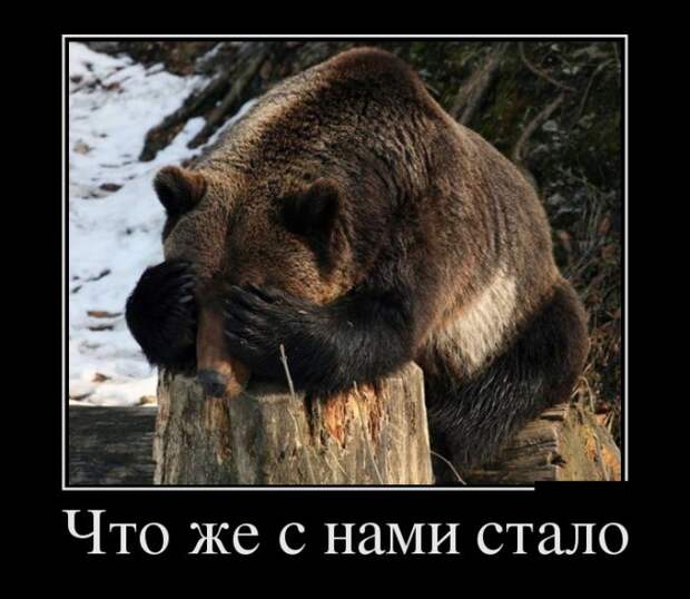 Что же с нами стало демотиватор, юмор