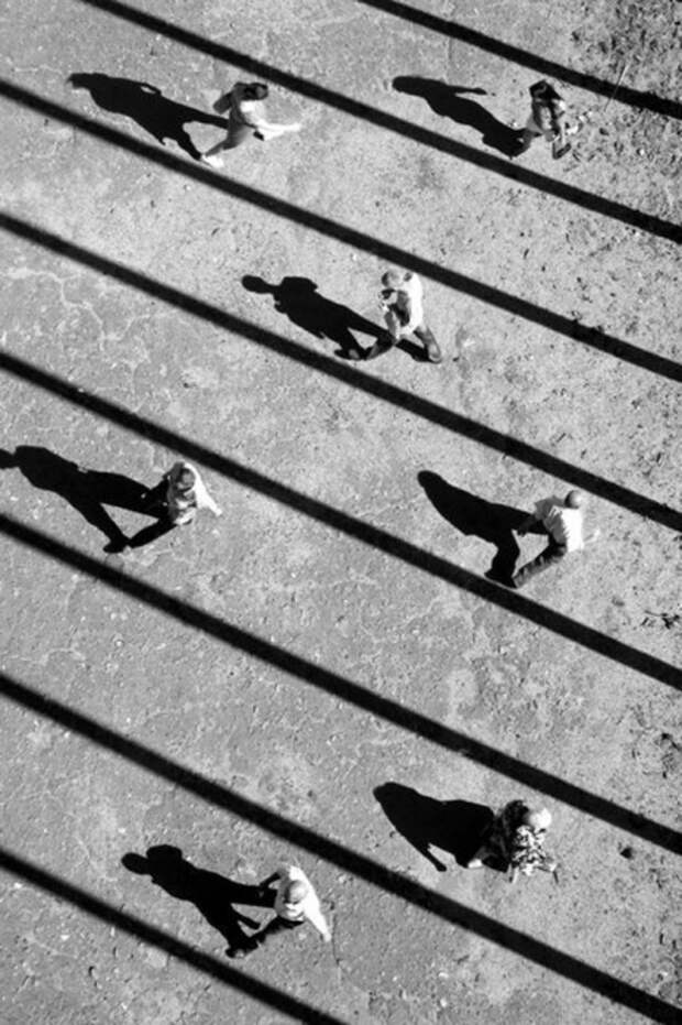 Тени отбрасывают котов: 20 сюрреалистических фотографий Алексея Меньшикова