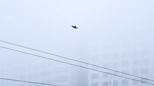 Спасатели предупредили о тумане в Татарстане