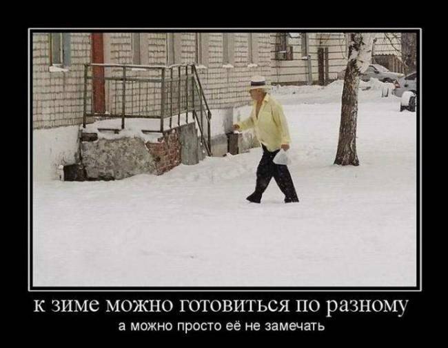 Зимние демотиваторы Зимние демотиваторы