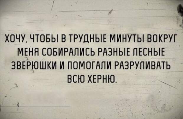 Порция прикольных картинок для настроения (52 шт)