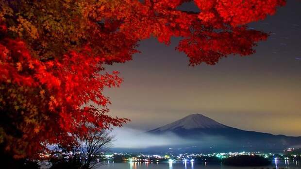 Ночной вид осенью. Канагава, Япония (700x393, 59Kb)