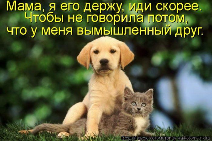 Мысли вслух :)