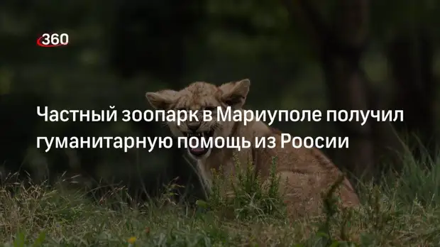 Директор зоопарка в Мариуполе Вашура: Россия передала гуманитарную помощь