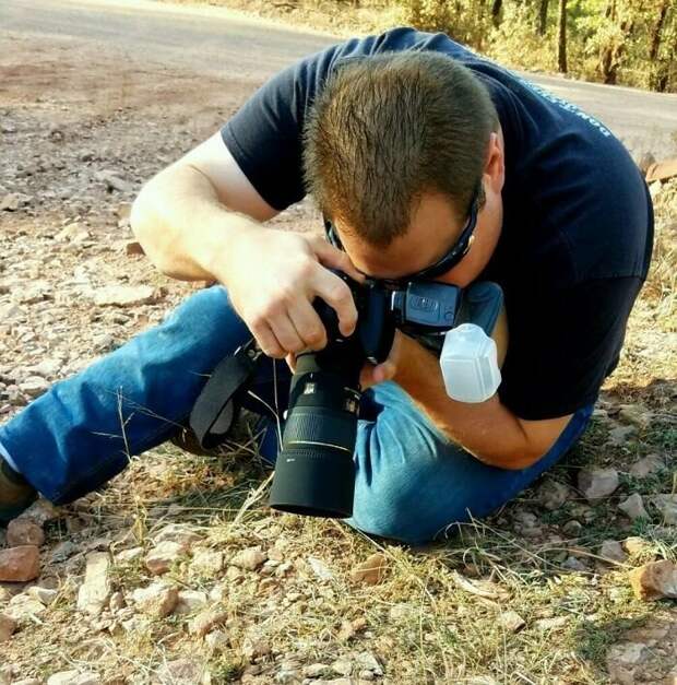 Пчелы, уснувшие в цветке: история одного фотоснимка насекомые, природа, пчела в цветке, пчелы, трогательно, фото, фотограф, фотография