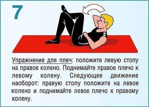 Укрепляющая тренировка для мышц спины и пресса факты