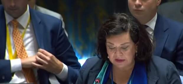 “Приятно видеть, что Россия защищает себя от такого…” Очередной разбор дела Скрипалей в ООН, зарубежные комментарии