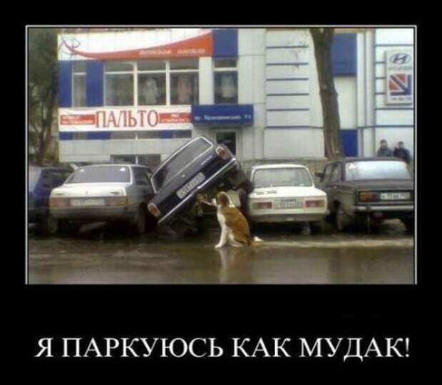 Демотиваторы, юмор дня, фотки с прикольными подписями.