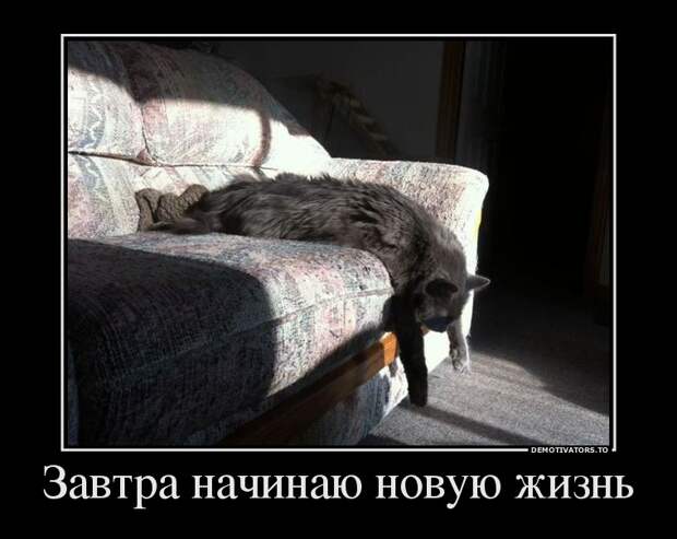 Демотиваторы демотиваторы