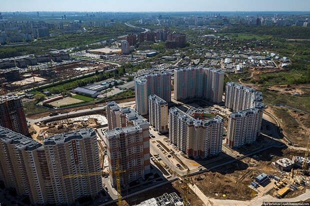 Дворцы Подмосковья