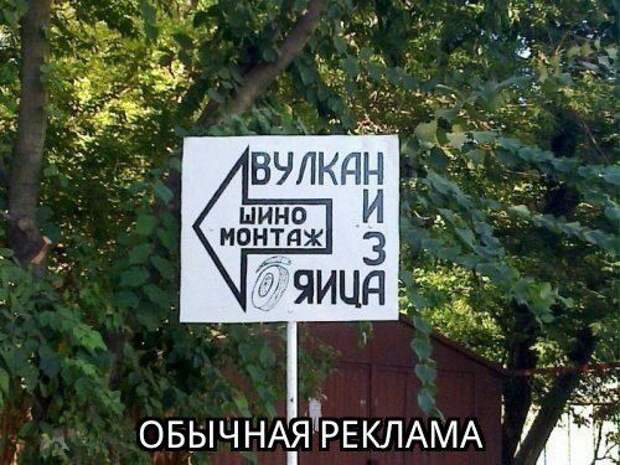 Картинки, юмор, приколы