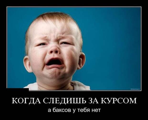 Демотиваторы (30 фото)