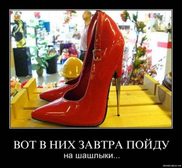 Демотиваторы про котэ и не только.