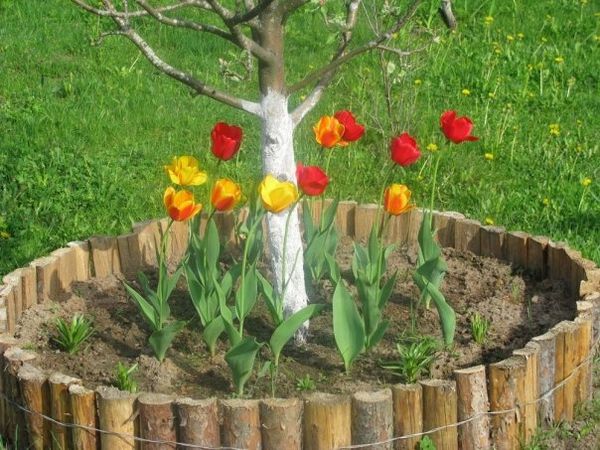 Клумба из половинок чурок Клумба из половинок чурок