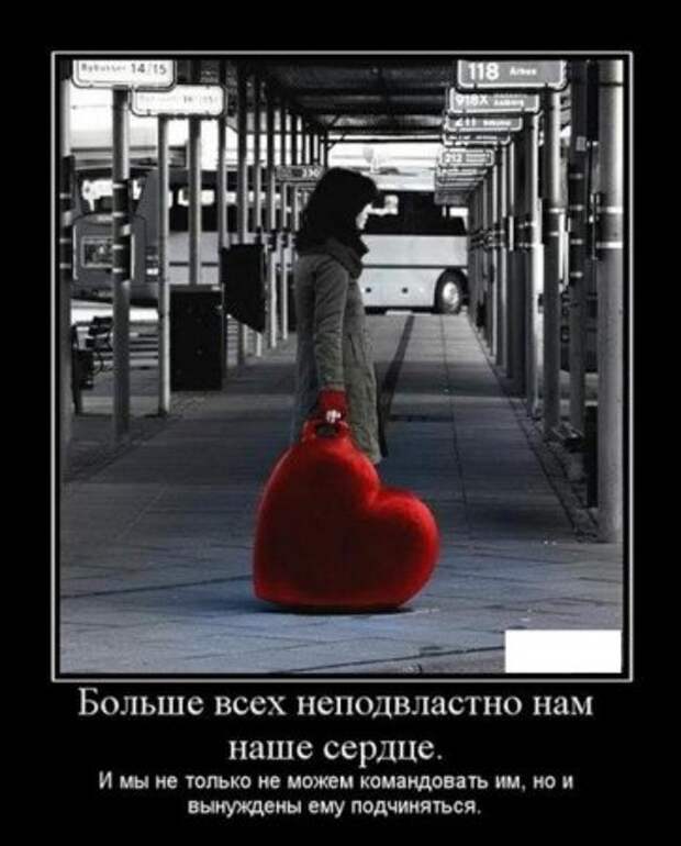 Демотиваторы о любви и про любовь.