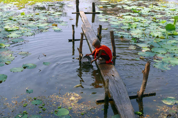 К югу от Янгона, Мьянма набирают воду для питья из озера с кувшинками
