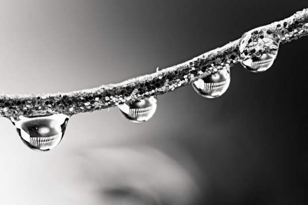 glycerin