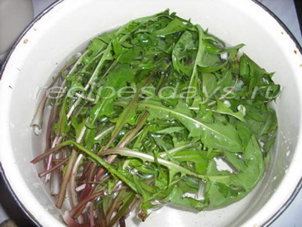 рецепты салатов из листьев одуванчика