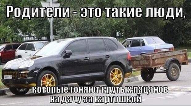 Подборка автоприколов. Часть 227 авто, автоприколы, приколы