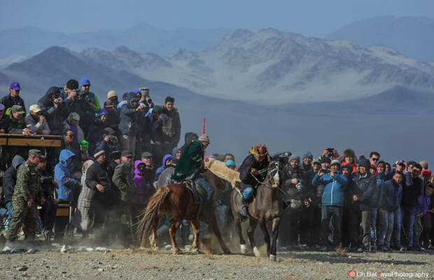 Фестиваль "Золотой орел" в Монголии беркут, монголия, фестиваль