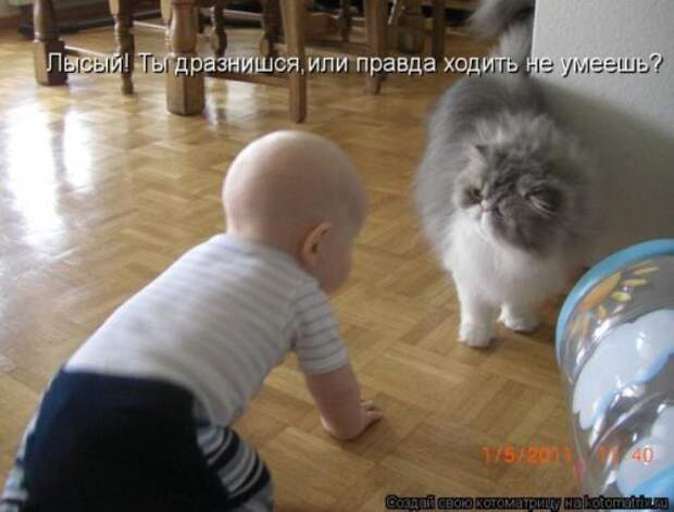 Сборник весёлых котоматриц (35 шт)