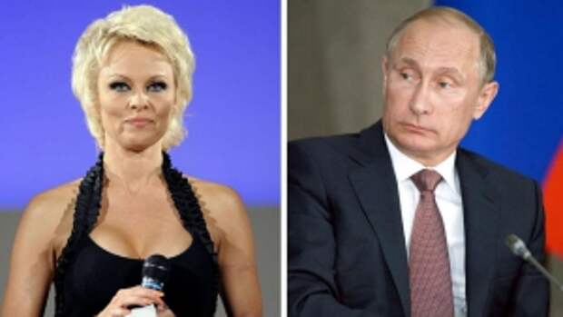 новости россии, памела андерсон и путин, памела андерсон сейчас, спасатели малибу, 22 августа