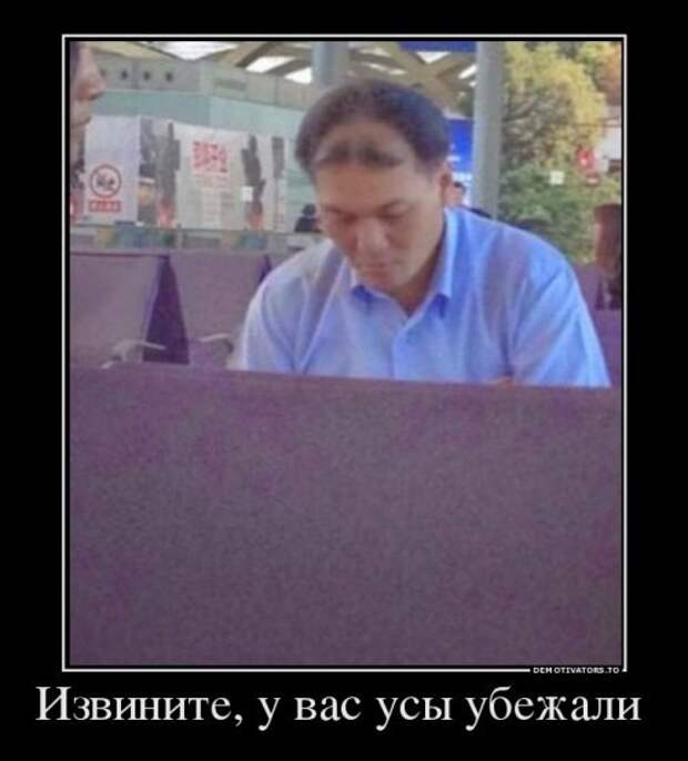 Лучшие демотиваторы пятницы