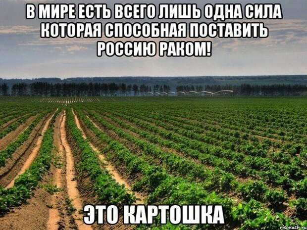 Смешные картинки с надписями прикол, юмор