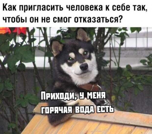 Немного картинок для настроения