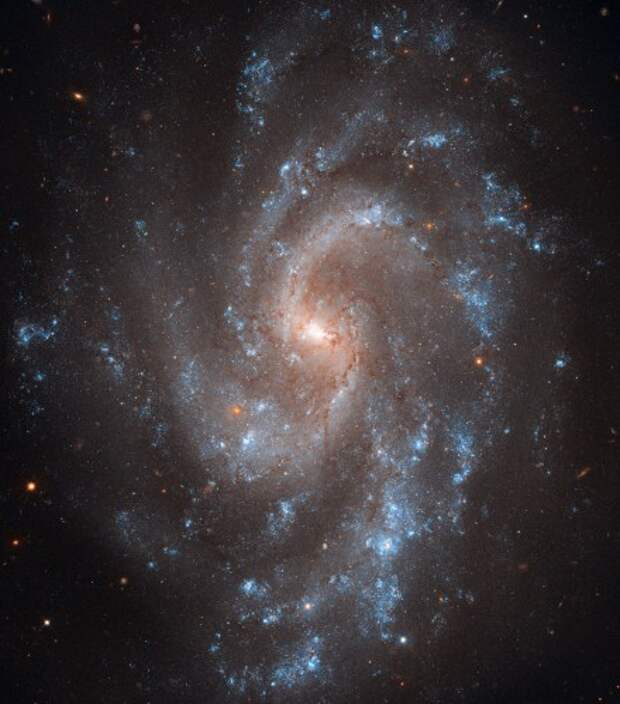Галактика с перемычкой