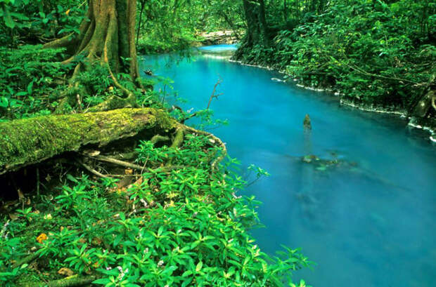 Бирюзовая река Рио Селесте: лишь недавно ученые смогли раскрыть тайну ее цвета