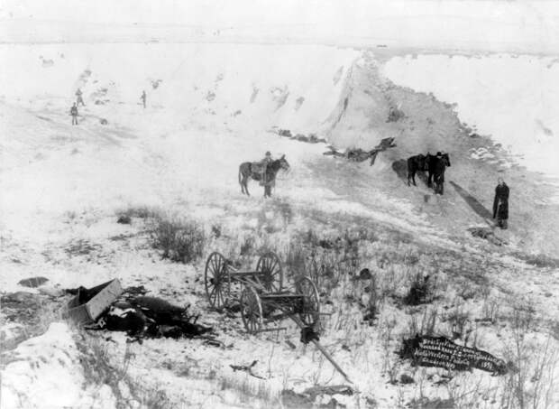 1890. Каньон Вундед-Ни. На переднем плане трупы лошадей, далее по дну оврага разбросаны тела индейцев