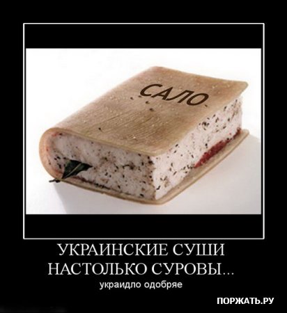 демотиваторы приколы