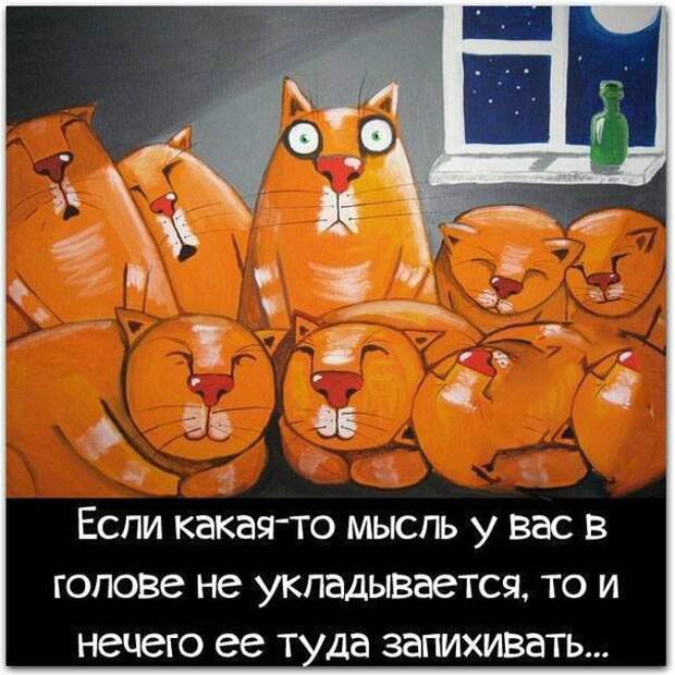 Пост юмора без политики прикол, юмор