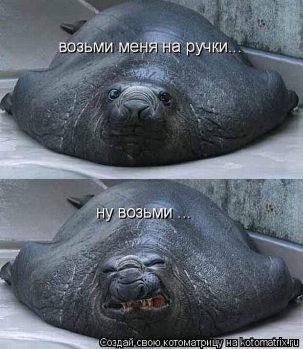 Мысли вслух :)