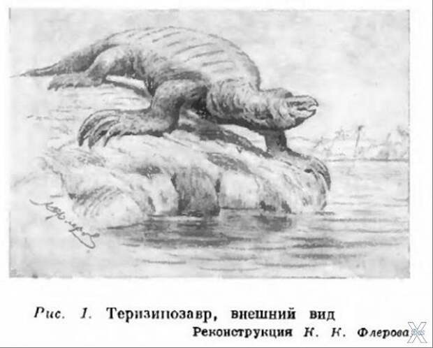 Теризинозавр первый