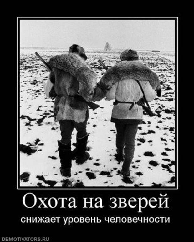 новые демотиваторы со смыслом