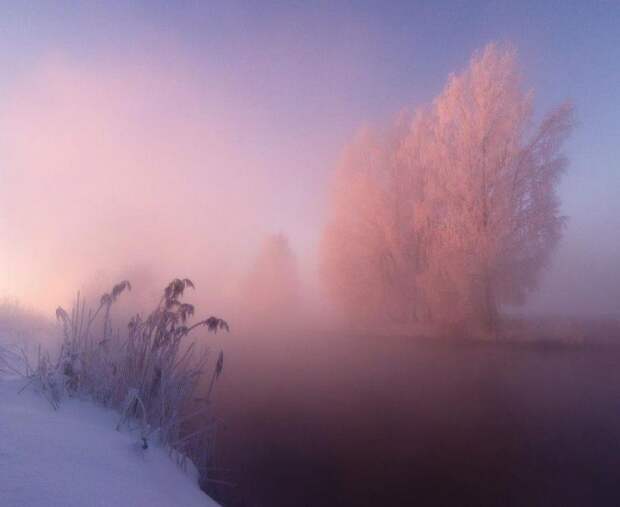 Зимнее утро на реке Свислочь, Республика Беларусь животные мир, природа