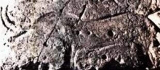 Рисунки на стенах "грота мамонта" в Каменной Могиле.