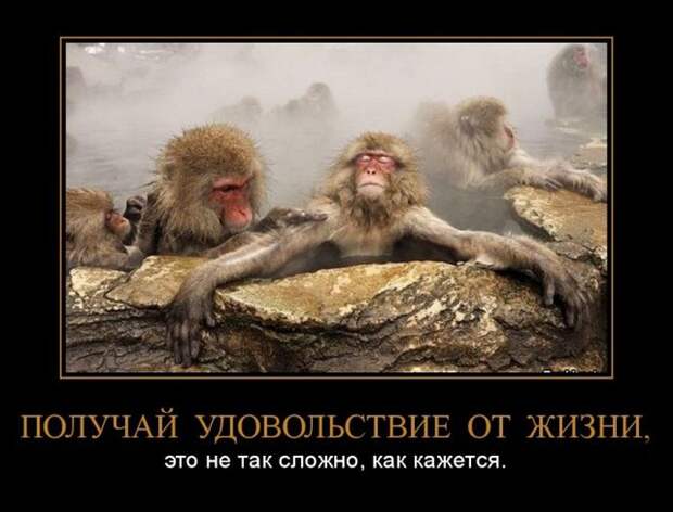Демотиваторы (30 фото)