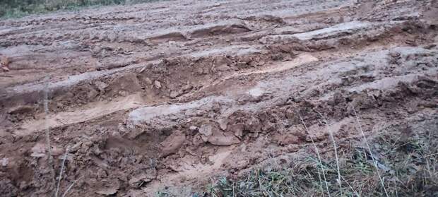 Темно и грязно: жители Балезино пожаловались на состояние дорог и плохое освещение на улицах райцентра
