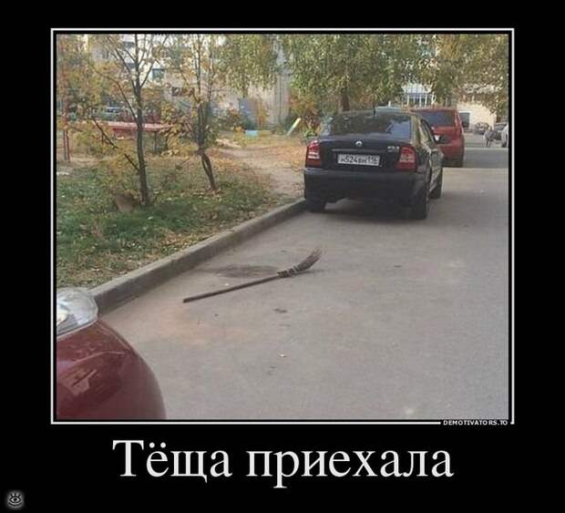 Пусть жизнь научит! 21