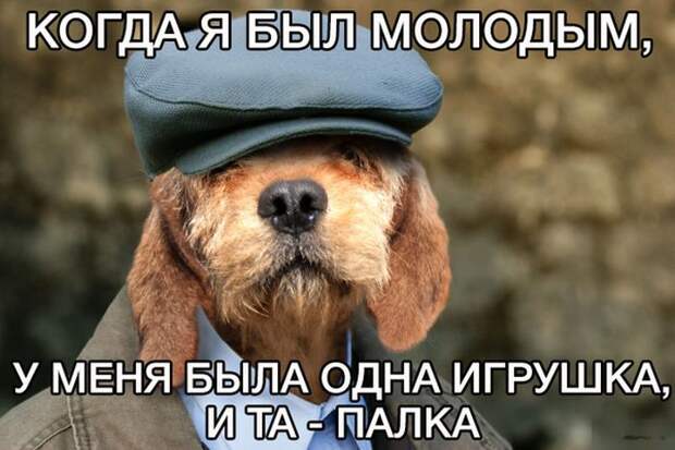Прикольные картинки (87 фото)