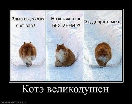 Картинки с надписями классная подборка демотиваторов.