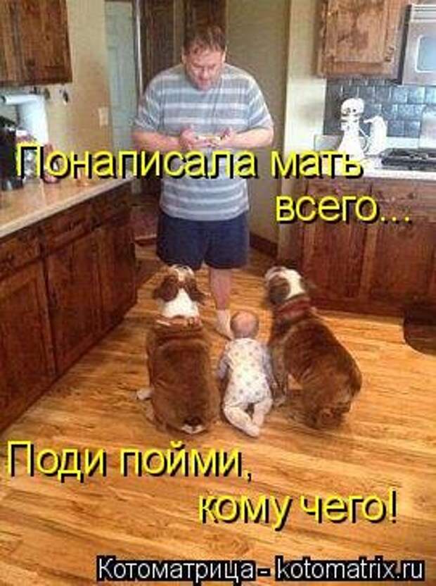 Забавные котоматрицы