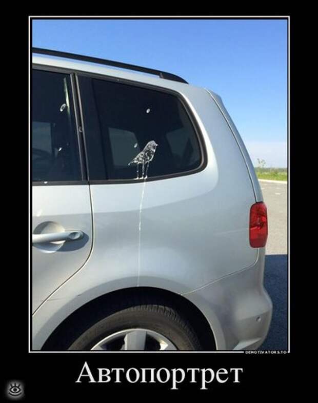 Иногда проще сказать правду... 9