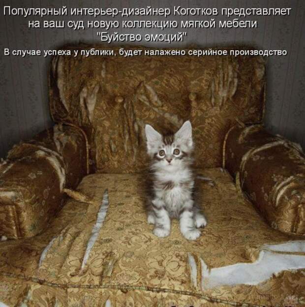 Летняя подборка Котоматриц 2010 - Выпуск 18