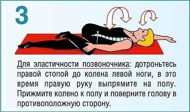 Укрепляющая тренировка для мышц спины и пресса факты