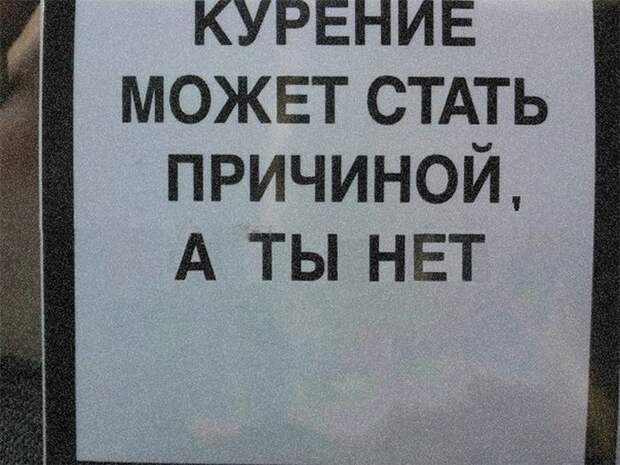 Прикольные картинки Прикольные картинки