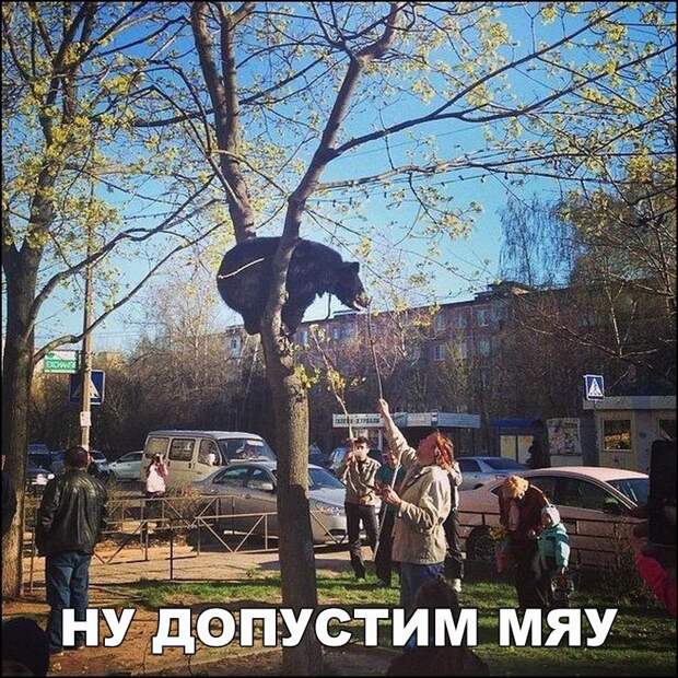 Смешные и свежие картинки с надписями до слез (12 фото) Смешные и свежие картинки с надписями до слез (12 фото)